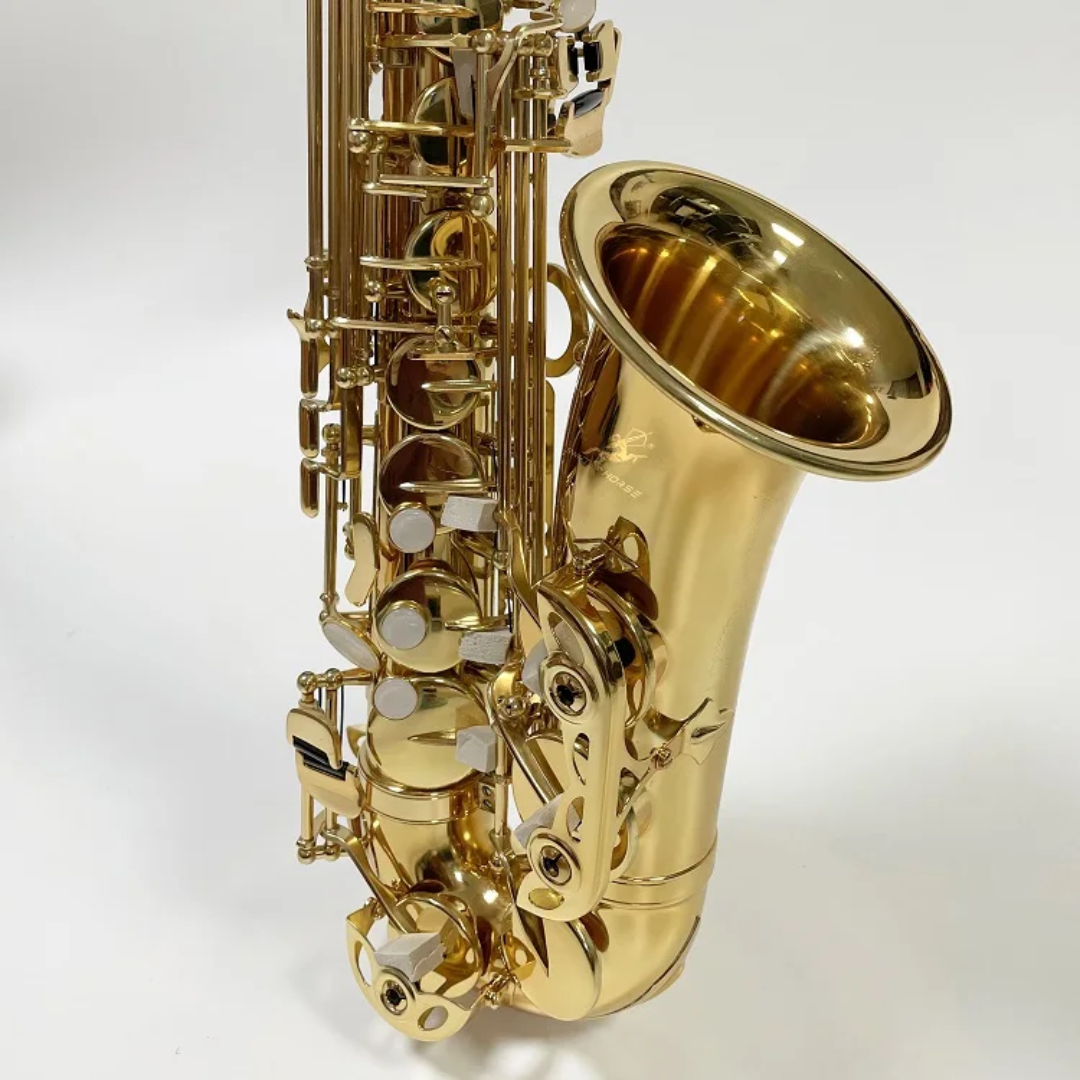 Professional Gold Alto Saxophone - Eb Key with Hard Case - Image 4