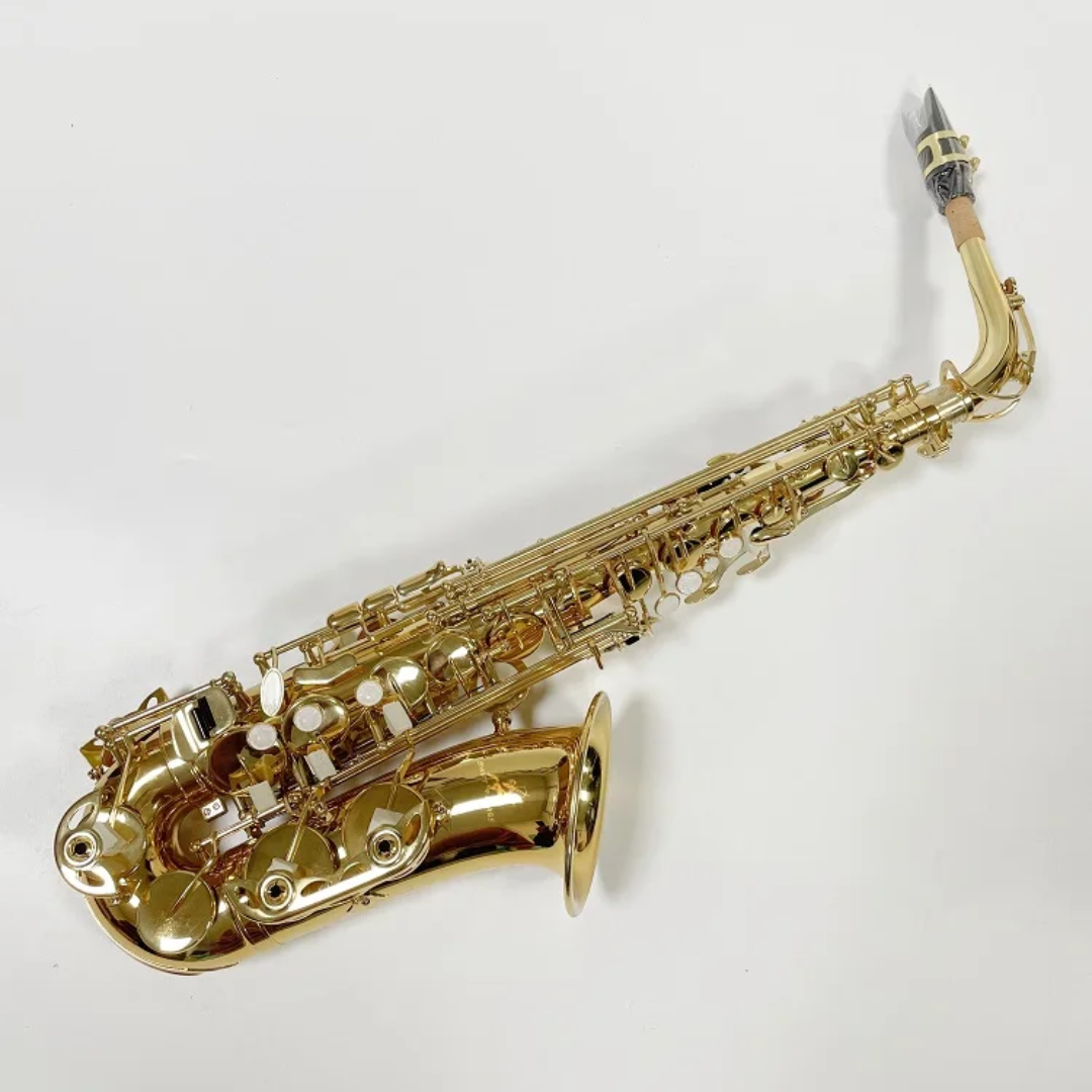 Professional Gold Alto Saxophone - Eb Key with Hard Case