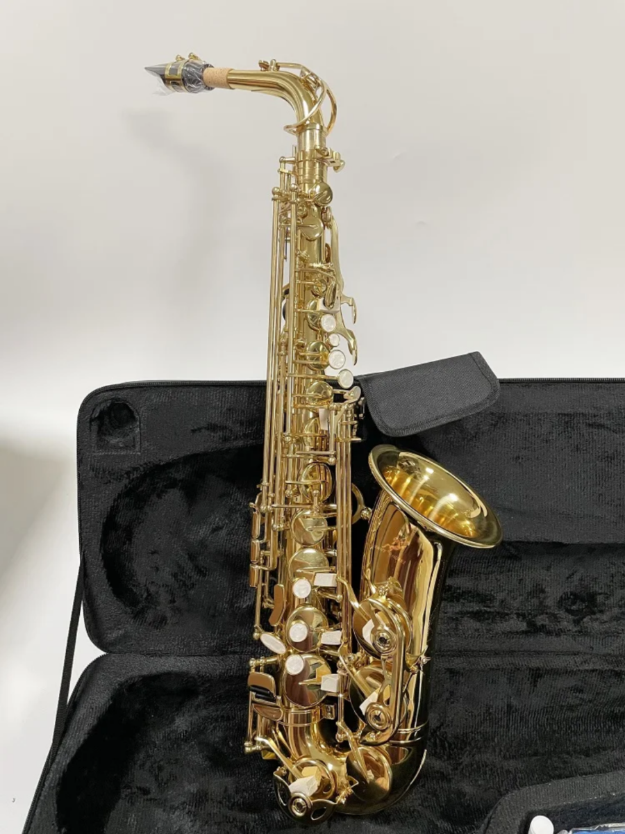 Professional Gold Alto Saxophone - Eb Key with Hard Case - Image 6