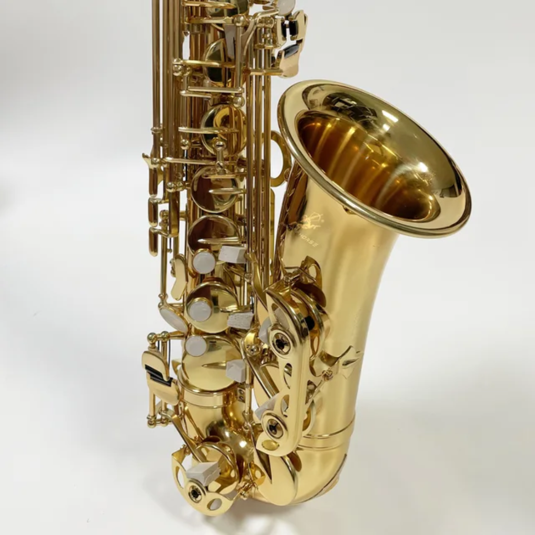 Professional Gold Alto Saxophone - Eb Key with Hard Case - Image 2
